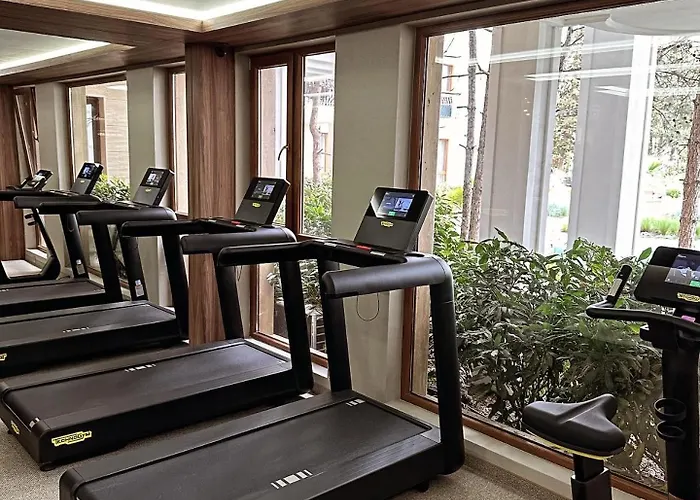 Tranquilo Escapes * サニービーチ